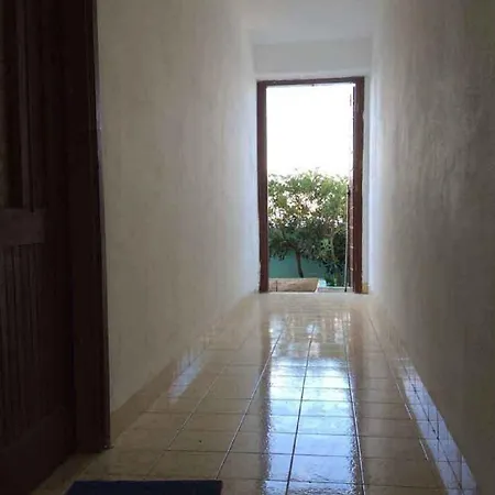 Apartments Sova *